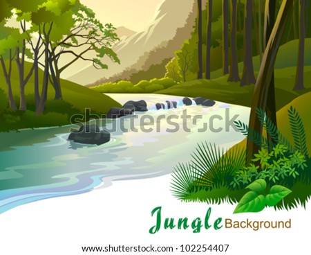 TROPICAL JUNGLE TREES AND FRESH WATER STREAM