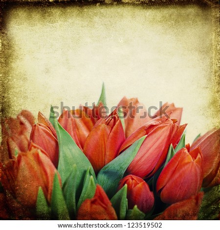 vintage paper textures with lots of fresh red tulips