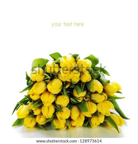 bouquet of  fresh yellow tulips on white background (with easy removable text)