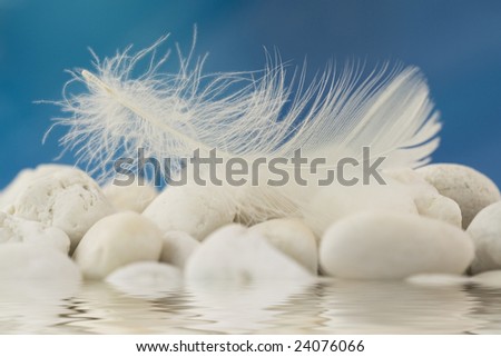 Close-up of a white feather on white beach pebbles reflected in water