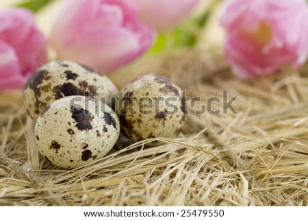 Easter tulips and eggs on hay