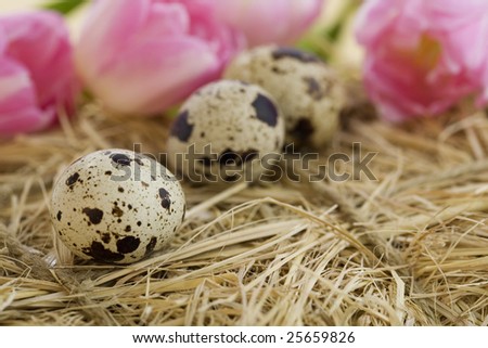 Easter tulips and eggs on hay