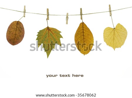 Leaves Clothes