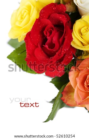Bunch of multi-colored roses over white. Selective focus  (with sample text)