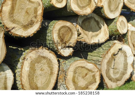 Background of chopped wood stacked up on top of each other in a pile