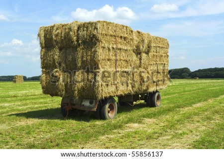 Close-up shot of bales of hay on a trailer standing in a green field under a blue sky