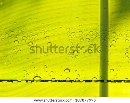 Bright green ecology background.