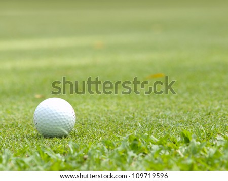 Old golf ball on green tee
