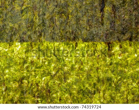 Abstract background of backlit sheet of Yaki Nori Sushi, Seaweed sheet.