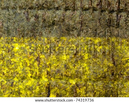 Abstract background of backlit sheet of Yaki Nori Sushi, Seaweed sheet.