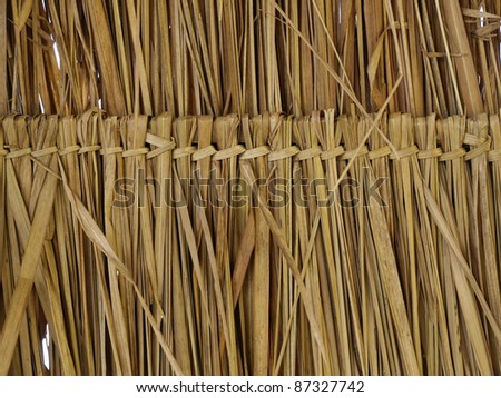 thatch roof texture