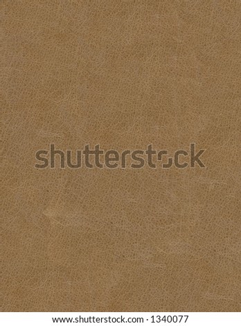 Leather swatch