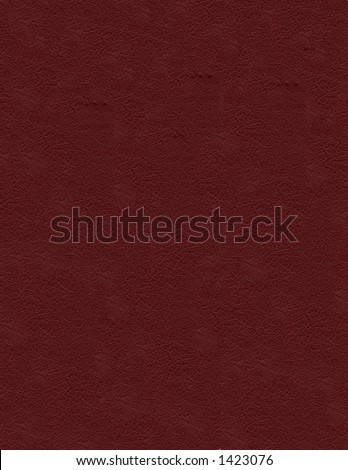 Leather Swatch