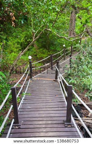 Wood path  through tropical forest