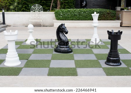 chess pieces in the park