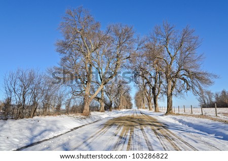 Trees and fence along dirt road covered with light snow