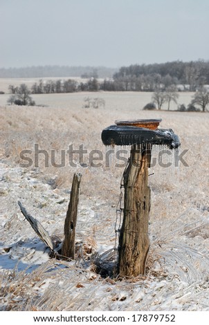 Icy Field