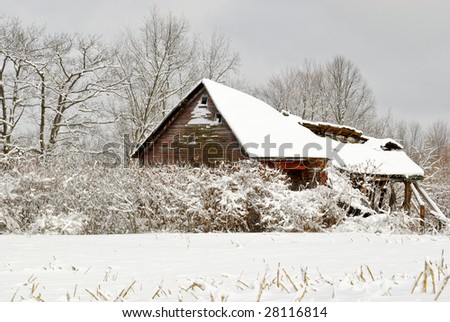 Fallen down barn in winter snow