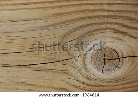background texture wood. knot ackground/texture