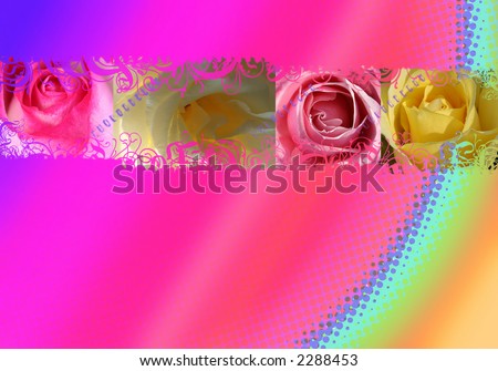 four colored roses design, can be used as a background