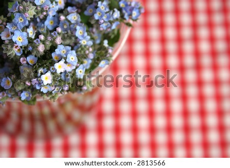 blue flowers and checkered red background can be used as a pic-nic invitation
