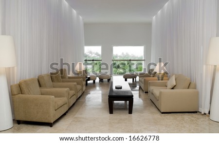 Fancy and minimal living room