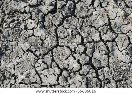 Dried cracking mud cover the Botswana\'s Kalahari desert pans during the dry season