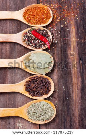 Five kinds of spices in the spoons