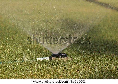 sprinkler system