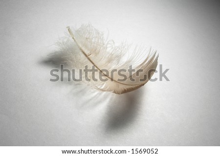 down feather