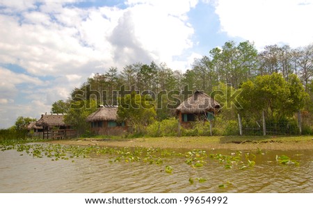 swamp village and straw hut by the jungle lake
