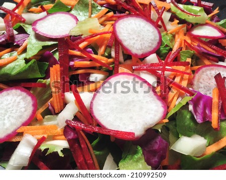 fresh vegetable mix salad