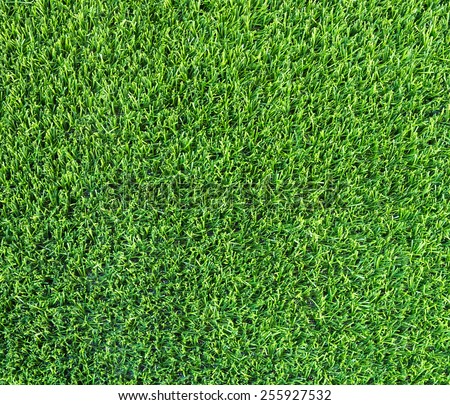 Artificial grass of the indoor football stadium.