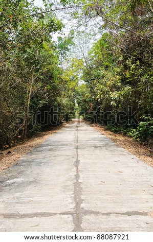 Concrete street through the forest into the field,countryside of Thailand.