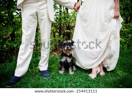 Wedding couple with a dog , feet close up