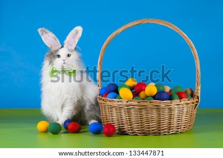 cat with rabbit ears and Easter eggs