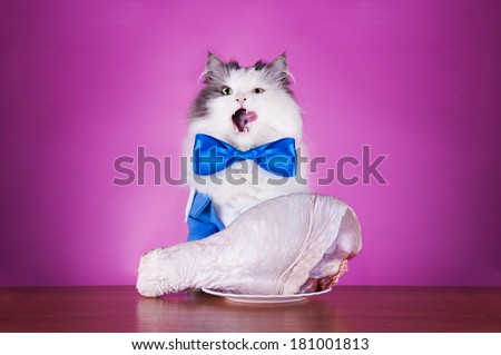 cat foot dines on a pink background