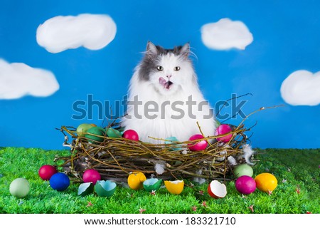 cat in a nest of birds on the green spring grass