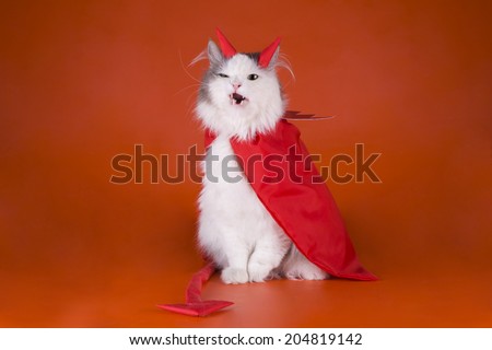 Cat in a devil costume