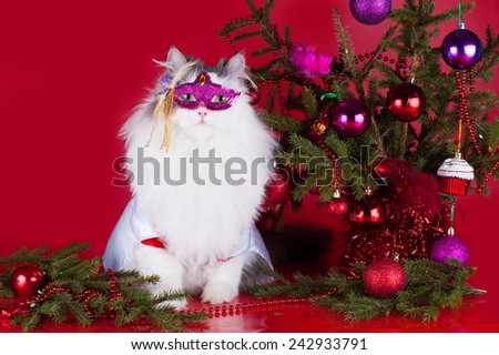 Cat in fancy dress near Christmas tree on a red background isolated