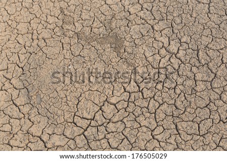 Cracked of mud texture during summer along Mekong river, natural border between Thailand and Laos.