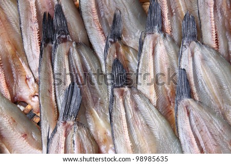 sundry of snake head fish in retail shop. morning market in Thailand