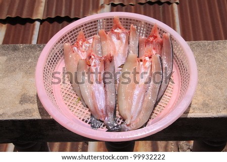 sun dry fish. traditional method of food preservation in asian