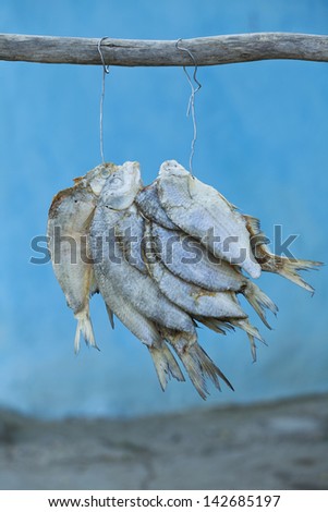 pack of fish hanged to dry with salt in front of the house in Danube Delta village