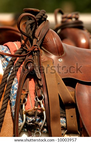 Western bridle bit and saddle resting on a horses back