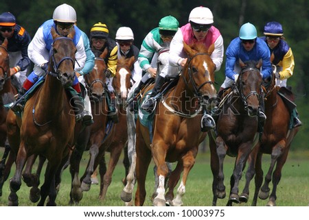 horse and jockey at race-course