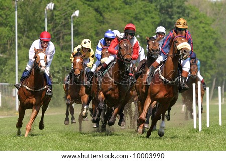 horse and jockey at race-course up to the finish line