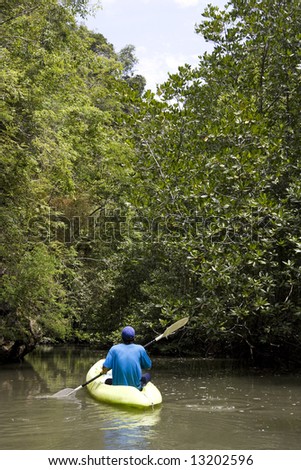Kayaking through mangrove forest, Krabi Province, Southern Thailand