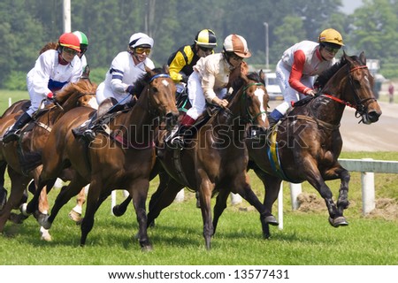 horses at race-course, up to the finish
