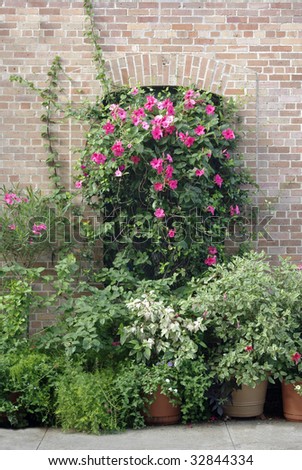 Flowers and plants in front of a brick wall